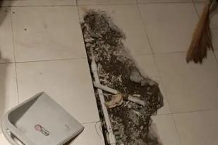 墨脱卫生间漏水检测电话